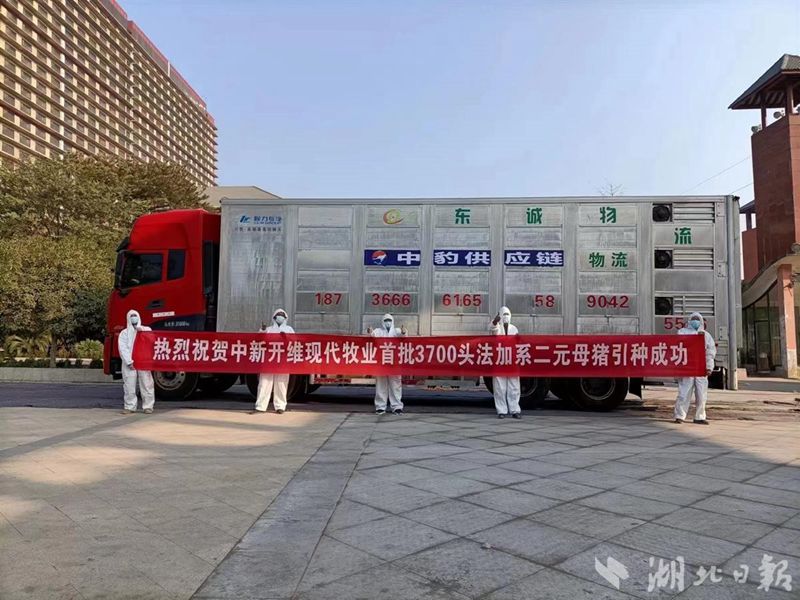 鄂州市生猪“航母”正式起航