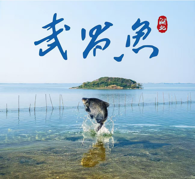 <a href="./xwzx/gzdt/202601/t20260105_743435.html">2025年武昌鱼十大新闻</a>