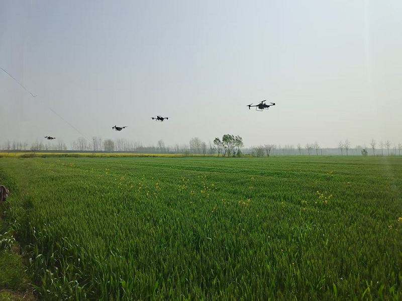 <a href="./xwzx/gzdt/202604/t20260409_759067.html">打好麦田“保卫战” 护住夏粮“粮袋子”</a>