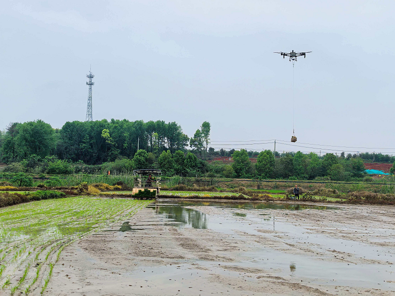 <a href="./xwzx/gzdt/202604/t20260415_759982.html">深耕春耕一线 科技赋能助农</a>