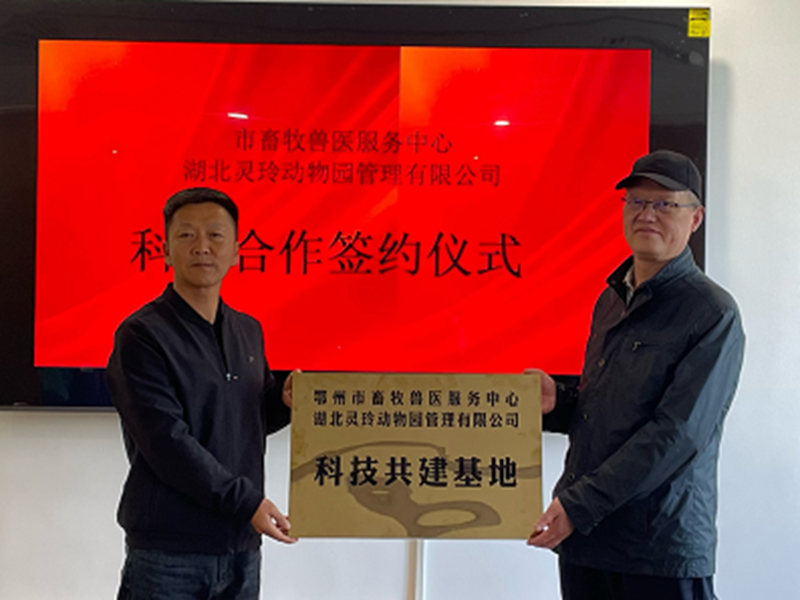 <a href="./xwzx/gzdt/202605/t20260508_763661.html">“双向奔赴”守护野生动物健康</a>