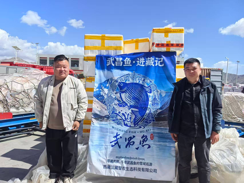 <a href="./xwzx/gzdt/202606/t20260612_767981.html">武昌鱼“游”进雪域高原 月销万斤走红西藏市场</a>