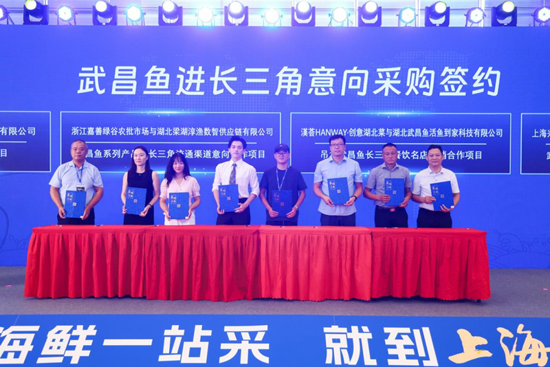 <a href="./xwzx/gzdt/202608/t20260828_780707.html">湖北武昌鱼拓市场 鲜品直供长三角</a>